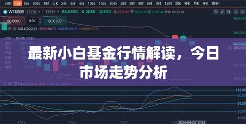 最新小白基金行情解读，今日市场走势分析