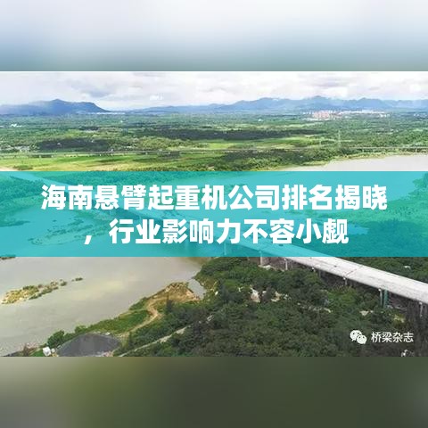 海南悬臂起重机公司排名揭晓，行业影响力不容小觑