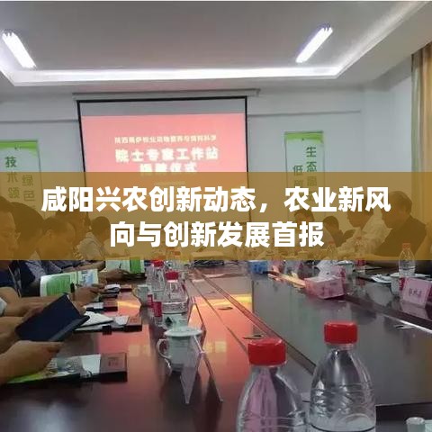 咸阳兴农创新动态，农业新风向与创新发展首报