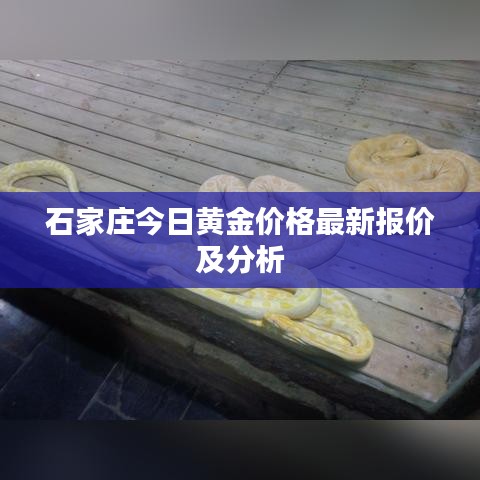 石家庄今日黄金价格最新报价及分析