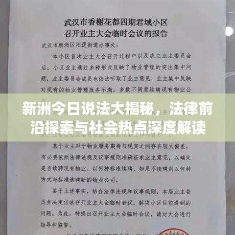 新洲今日说法大揭秘，法律前沿探索与社会热点深度解读