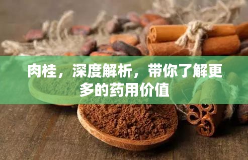 肉桂，深度解析，带你了解更多的药用价值