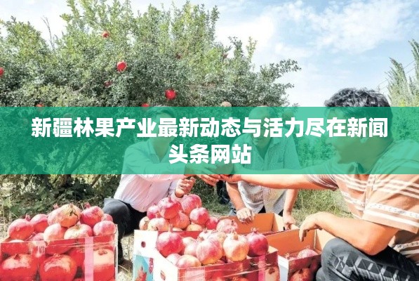 新疆林果产业最新动态与活力尽在新闻头条网站