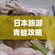 日本旅游青蛙攻略大全