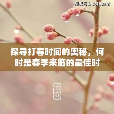探寻打春时间的奥秘，何时是春季来临的最佳时刻？