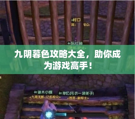 九阴暮色攻略大全，助你成为游戏高手！