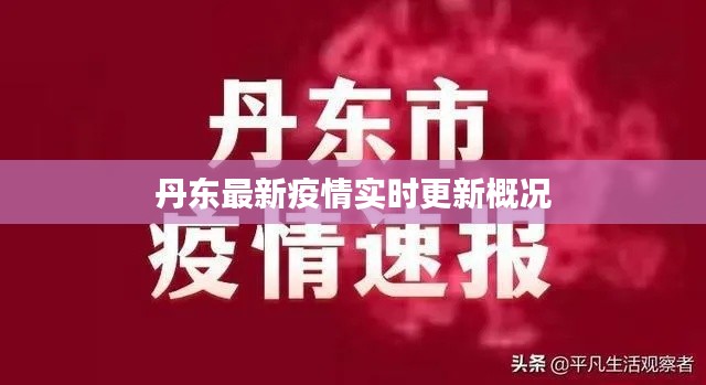 丹东最新疫情实时更新概况