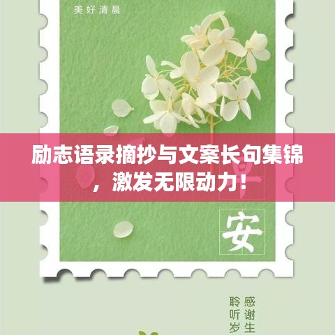 励志语录摘抄与文案长句集锦，激发无限动力！