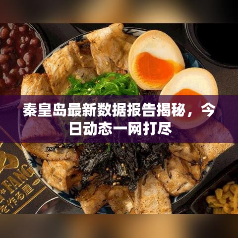 秦皇岛最新数据报告揭秘，今日动态一网打尽