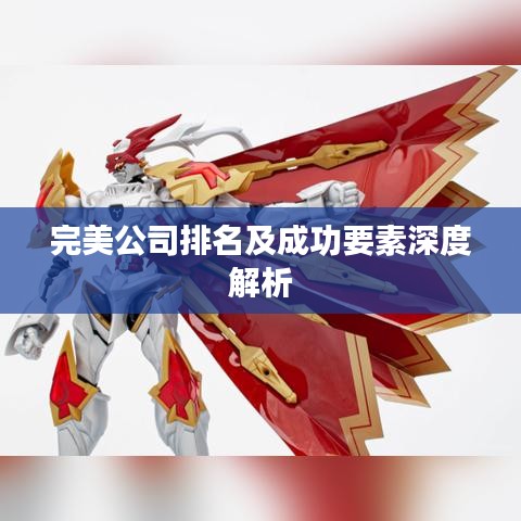 完美公司排名及成功要素深度解析