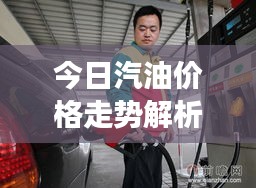 今日汽油价格走势解析，最新价格与市场动态分析报告