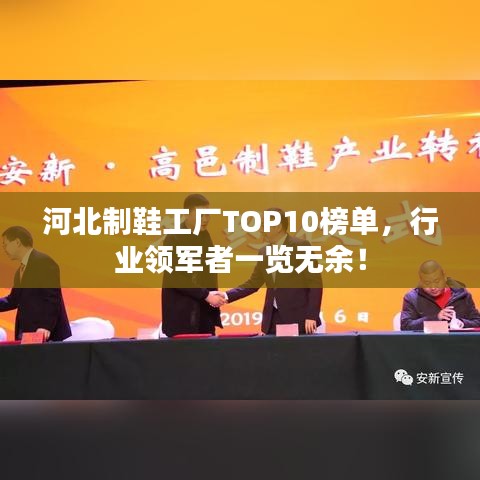 河北制鞋工厂TOP10榜单，行业领军者一览无余！